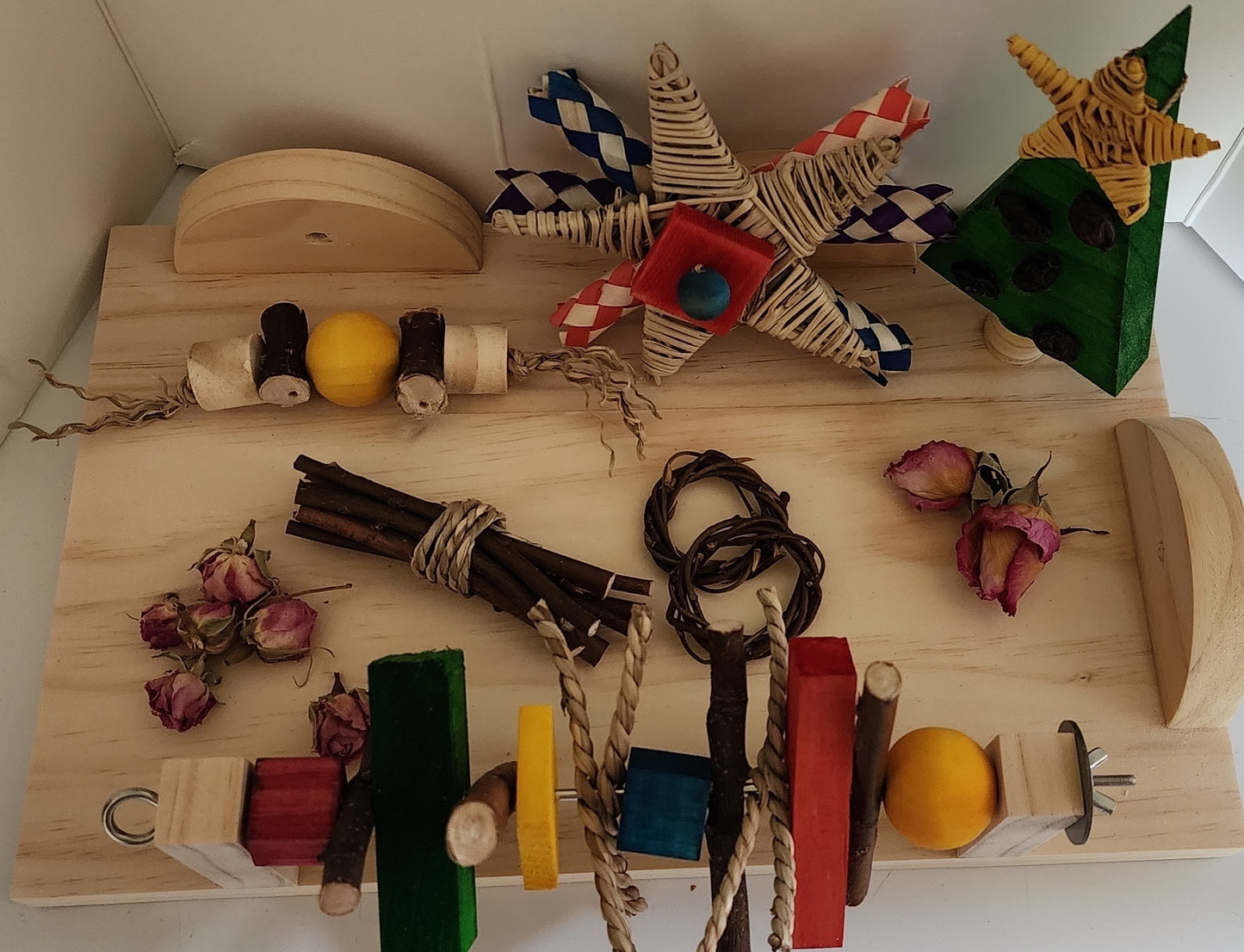 Chinchilla Christmas Bundle | 2025