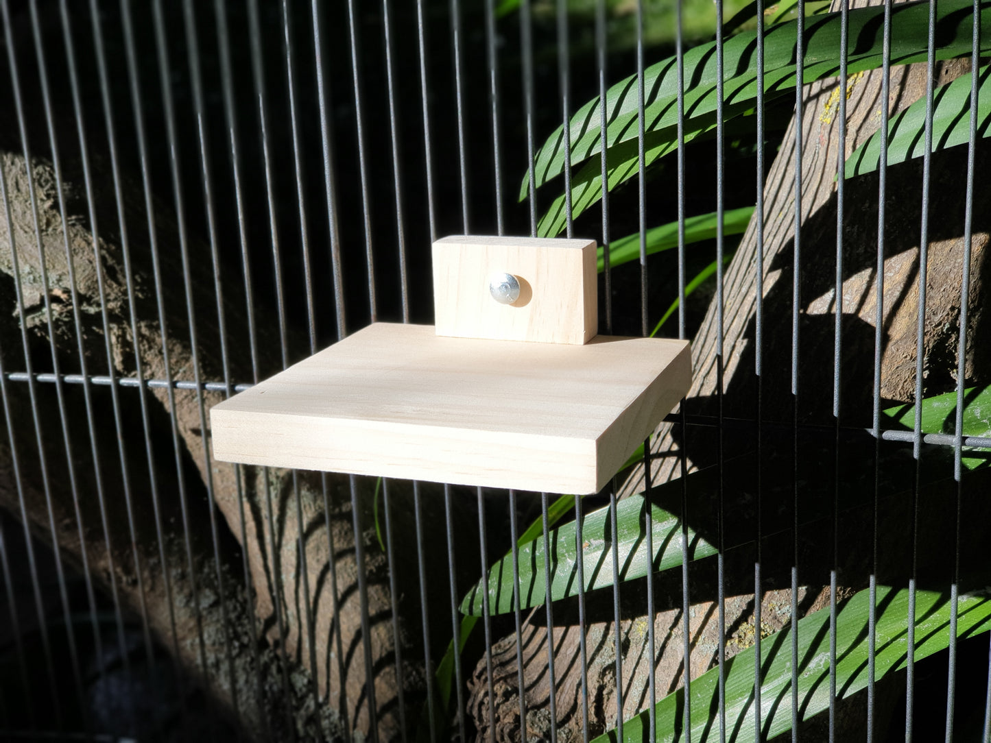 kiln-dried pine ledge