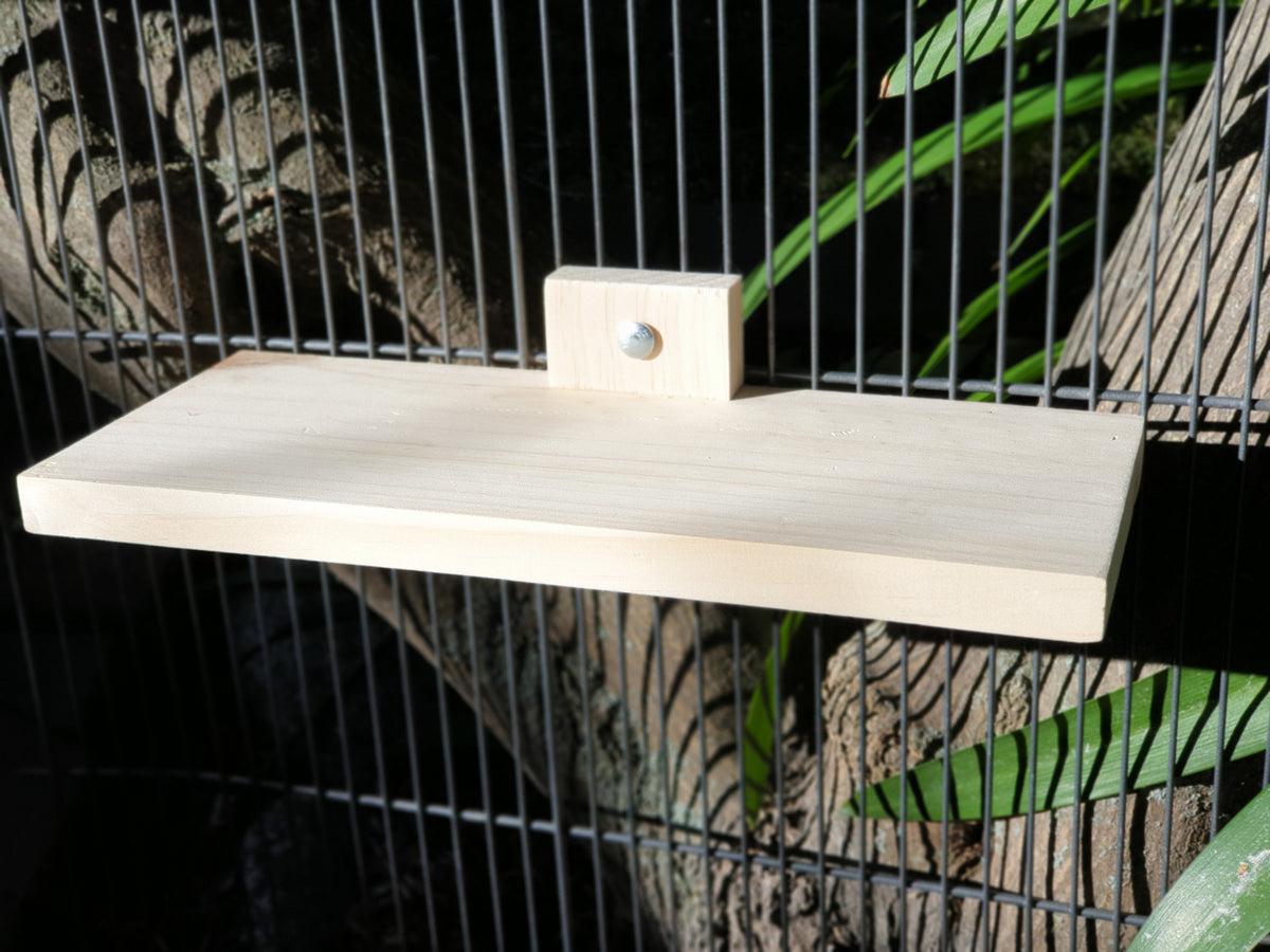 Kilndried Pine 340mm Ledge for Chinchillas The Three Little Floofs