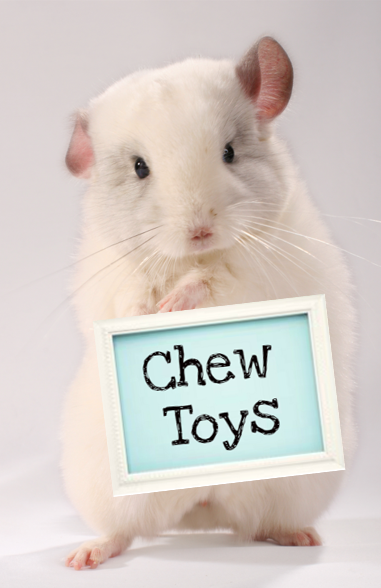 Chew Toys