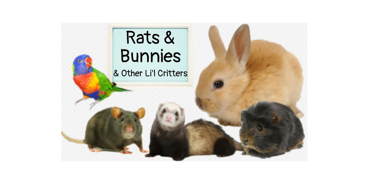 Rats, Rodents & Bunnies