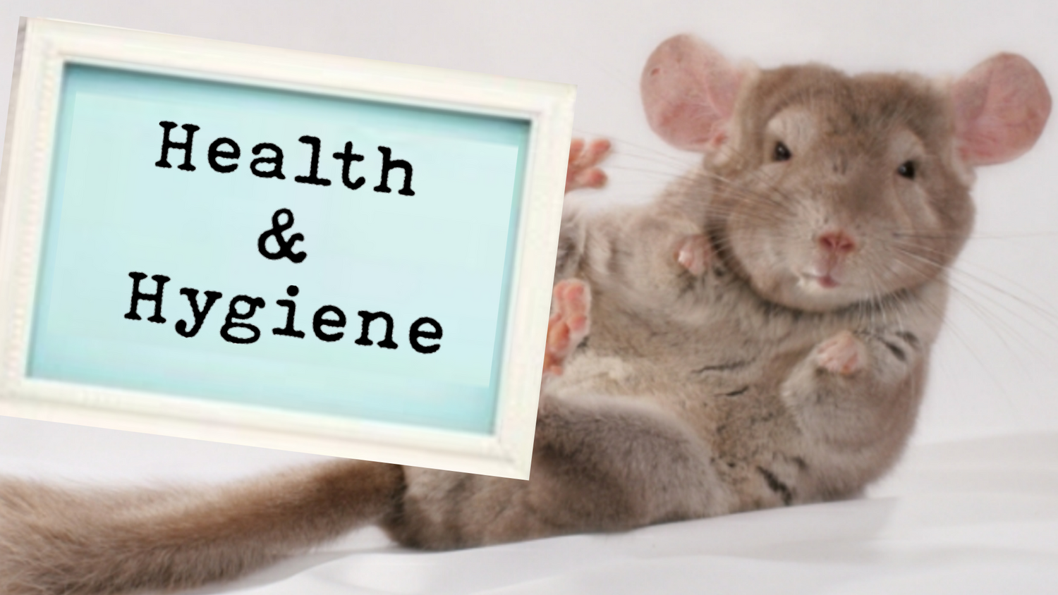Health & Hygiene