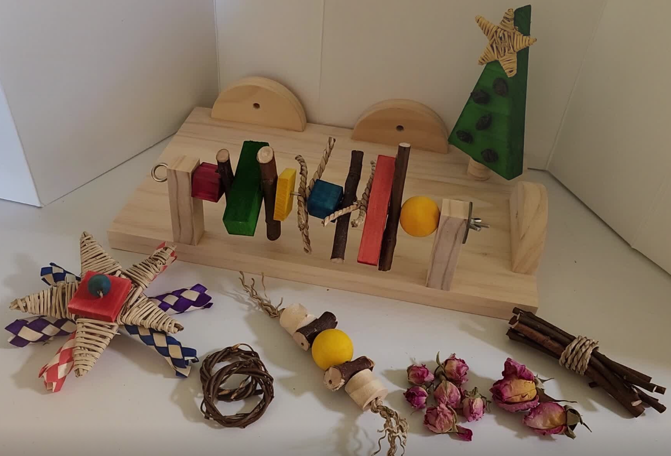 Chinchilla Christmas Bundle | 2025