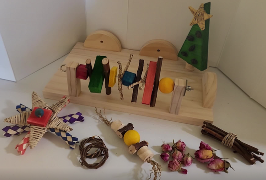 Chinchilla Christmas Bundle | 2025