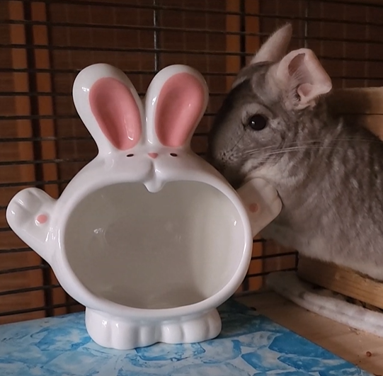 Ceramic Hay Manger