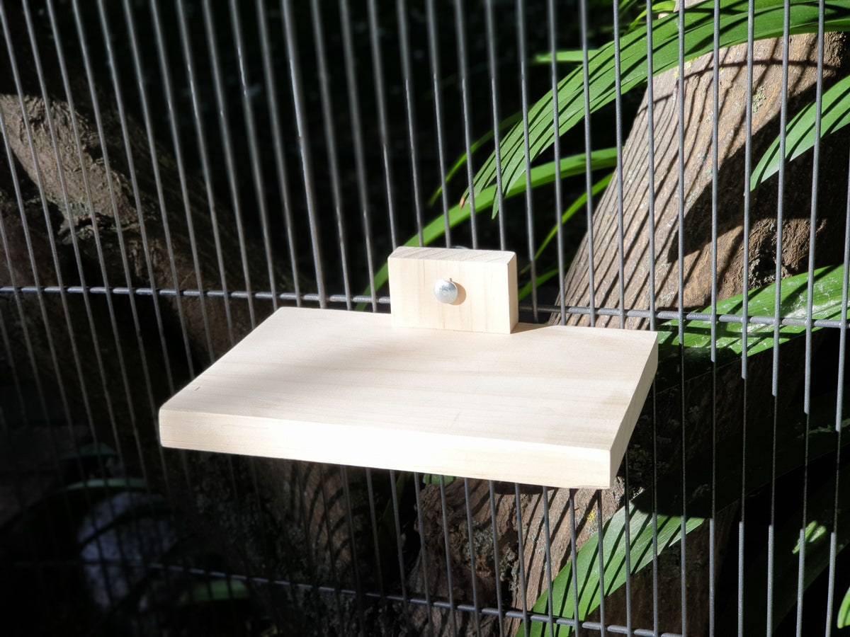 Kilndried Pine 210mm Ledge for Chinchillas The Three Little Floofs