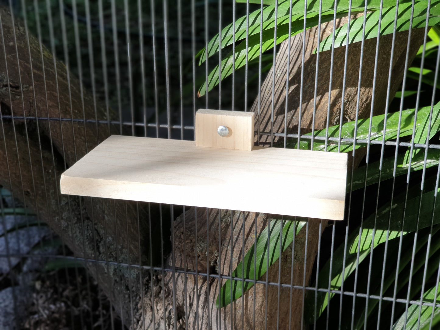 Kiln-dried Pine Ledge for Chinchillas