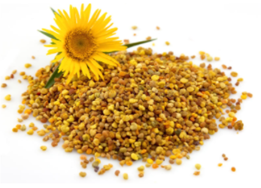 Natural Bee Pollen for Chinchillas