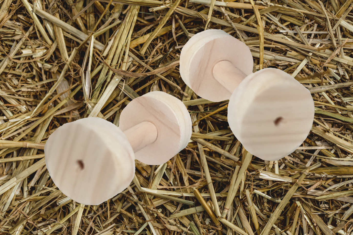 natural coloured kiln-dried pine dumbells for chinchillas