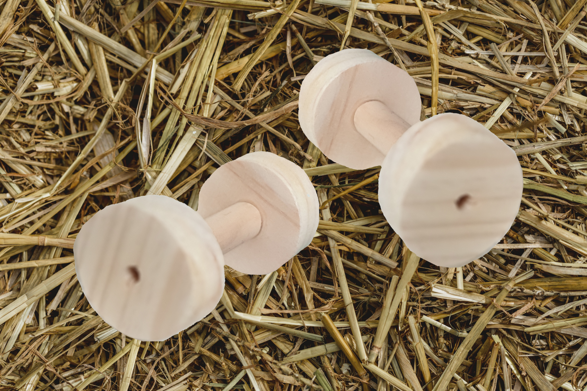 natural coloured kiln-dried pine dumbells for chinchillas