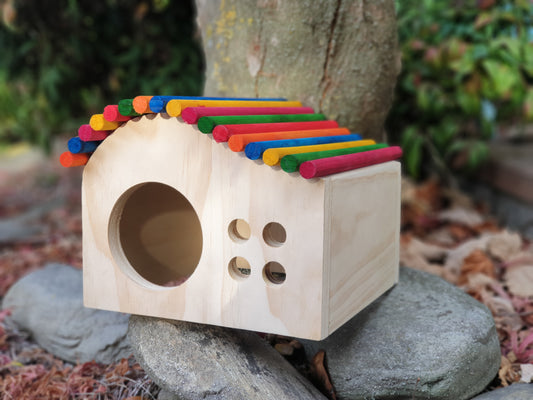 large kiln-dried pine chinchilla house with colourful dowel roofing