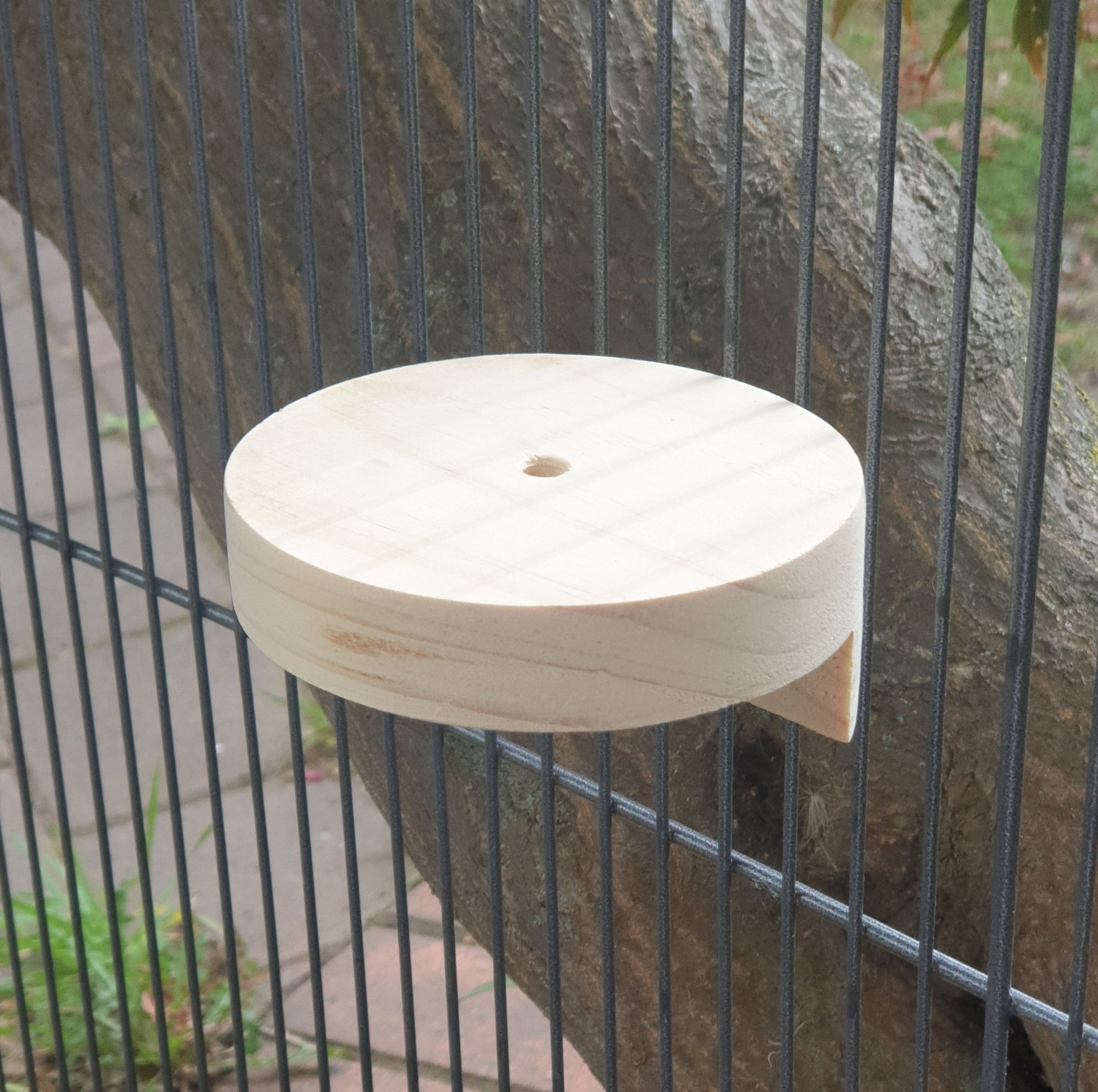 single kiln-dried pine circle ledge for chinchilla